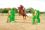 SBM_001920