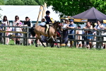 SBM_13986