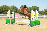 SBM_006937