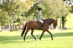 SBM_26372