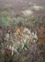 OCTOBER MEADOW #4- NORFOLK COUNTY