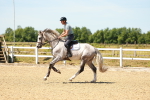 SBM_005733
