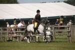 Class 26-30 - Mountain and Moorland Ridden portfolio