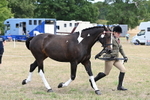 WJ6_5861