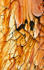 GOLD LEAF