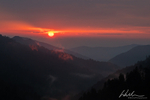 DSC_8755-Edit