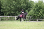 WJ6_6971