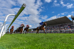 300826-Race 4-Financer-6637