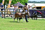 SBM_03648
