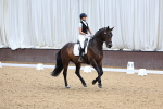 SBM_009308