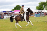 SBM_02676