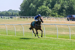 150726-Race 3-Lady Dublin-3187