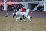 SBM_004010