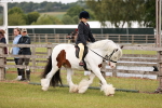 SBM_06095