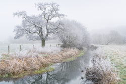 The frosty Wey