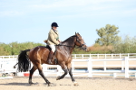 SBM_16877