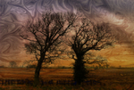 NB14  Two Trees