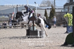 BPP_1181