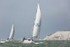 160702 STELMARIA - GBR8405T ROUND THE ISLAND Y92A0780_Edit