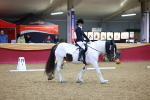 SBM_06640