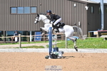 Cls 5 Pony Foxhunter & 1.10m Open portfolio