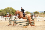 SBM_004379