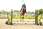 SBM_005384
