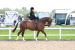 SBM_03380