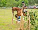 Dunblane show-320
