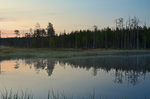 Wild Brown Bear Centre, near Vartius, Kainuu, Finland
