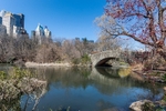 Spring Time Central Park