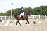 SBM_015201