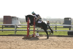 SBM_003379