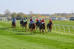 080426-Race 5-Free Pic-0557