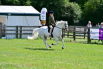 SBM_07850