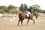 SBM_008649