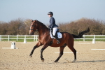 Class 24 - Advanced medium 5 portfolio