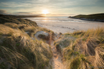 Crantock