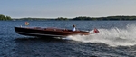 Whippet23-3153