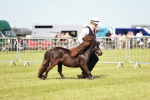 SBM_01889