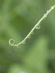 20140529_0040