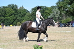 WJ7_9573