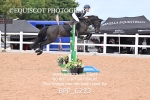 BPP_6233