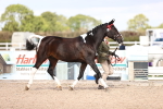 SBM_14435