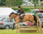 Dunblane show-454