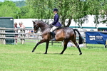 SBM_17508