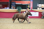 SBM_16691