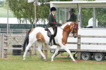 SBM_17640