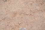 260516-160122-00788