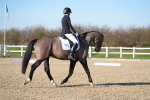 SBM_004433